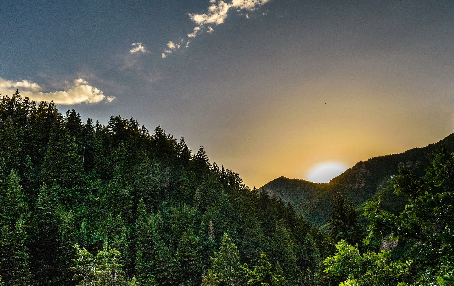 HappinessFactors background image